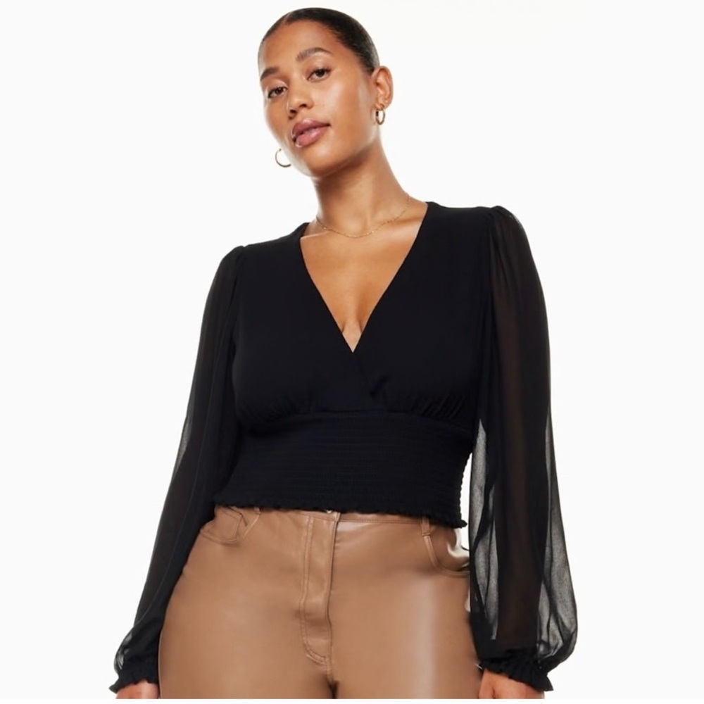 Aritzia Wilfred Wistful Sheer Long Sleeve V Neck Blouse